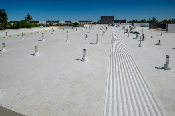 Best Rubber Roofing (EPDM, TPO)  in Springfield, MN